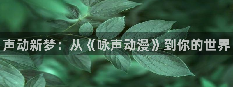 动漫屋官网入口：声动新梦：从《咏声动漫》到你的世界