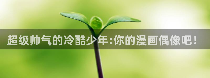 小小的动漫屋：超级帅气的冷酷少年:你的漫画偶像吧！
