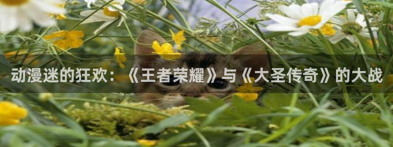 动漫屋在线：动漫迷的狂欢：《王者荣耀》与《大圣传奇》的大战