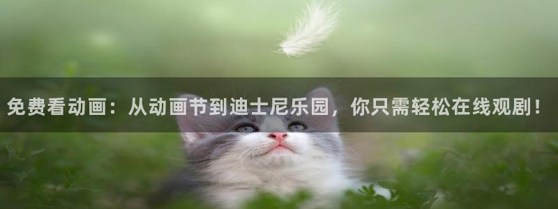 ai动漫屋：免费看动画：从动画节到迪士尼乐园，你只需轻松在线观剧！