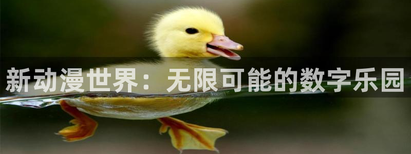 3d动漫屋：新动漫世界：无限可能的数字乐园